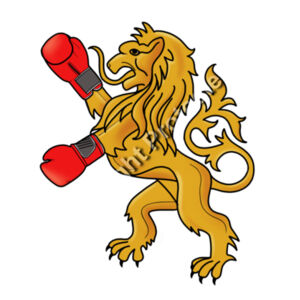 boxing lion kids Design
